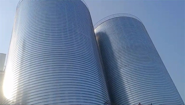 天河2座混凝土高架卷板仓